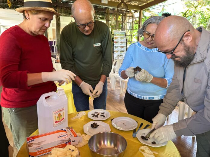 WhatsApp Image 2025-07-03 at 14.39.07