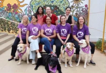 Conexão que alivia a dor: projeto promove interação entre cães e pacientes