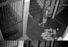 Patrimônio desprotegido: furto no Instituto Histórico do DF expõe falhas na segurança