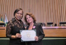 CLDF homenageia engenheiros, arquitetos e técnicos de segurança do trabalho em sessão solene proposta pela deputada Doutora Jane