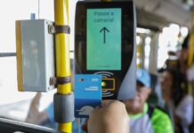 Vai de Graça e Lazer para Todos: Entrada gratuita e transporte sem tarifa atraem mais de 600 mil acessos no feriado da Consciência Negra no DF