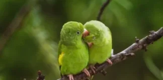 Fotógrafa brasiliense lança livro com imagens da vista deslumbrante de casa