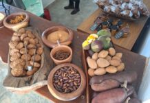 Estudo inédito inclui frutos do Cerrado na alimentação escolar no DF