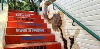 Painel coletivo de grafiteiros do DF dá cara nova à passagem subterrânea da 103/104 Norte