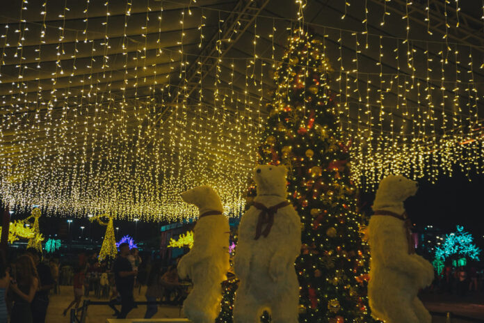 divulgação secec natal