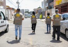 IPEDF encerra 2025 com novos estudos, diagnósticos e base de informação ampliada