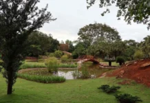 Jardim Botânico de Brasília preserva o melhor do Cerrado; conheça