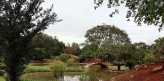Jardim Botânico de Brasília preserva o melhor do Cerrado; conheça