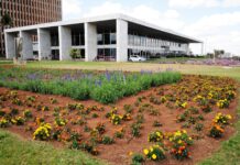 Casa Civil do DF divulga manual sobre condutas proibidas de agentes públicos durante o período eleitoral