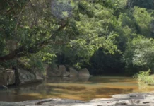 Dia Mundial da Água será lembrado no domingo, no Eixão do Lazer