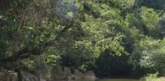 Dia Mundial da Água será lembrado no domingo, no Eixão do Lazer