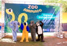 Zoo Animado 2026 promove dias de diversão e educação ambiental para a criançada