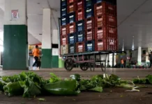 Desperdício Zero: Ceasa distribuiu 96 mil quilos de alimentos até agora no DF