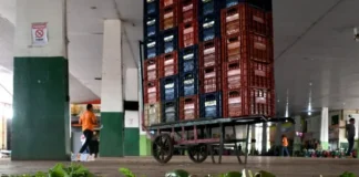 Desperdício Zero: Ceasa distribuiu 96 mil quilos de alimentos até agora no DF