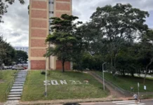 Brasília acontece nas sombras das árvores, entre Blocos e Quadras