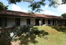 Conheça a bucólica casa de Niemeyer no Park Way, aberta à visitação pública