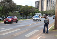 Brasília comemora 29 anos de respeito ao pedestre na faixa