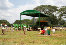 Serviços funerários e cemiteriais do DF têm reajuste com base no IPCA