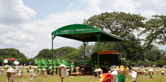 Serviços funerários e cemiteriais do DF têm reajuste com base no IPCA