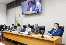 Nova presidente do IgesDF é aprovada na CLDF