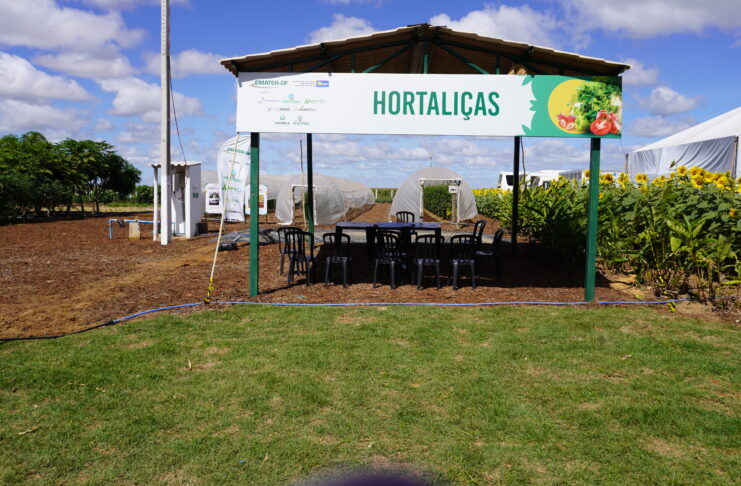 Cultivo de pimentas e outras tecnologias são destaques do Circuito de Hortaliças na AgroBrasília 2026