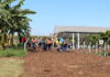 Espaço da Fruticultura da Emater-DF na AgroBrasília apresenta técnicas para ampliar renda