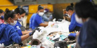 DF sobe seis posições e se torna líder em sustentabilidade ambiental no país