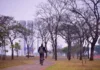 Frio: Inverno começa domingo, com sol no DF e “friaca” pelo Brasil