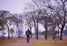 Frio: Inverno começa domingo, com sol no DF e “friaca” pelo Brasil