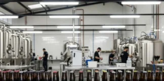 DF lidera em rótulos e amarga tombo no emprego cervejeiro