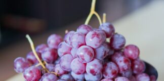 Feira Nacional da Uva e do Vinho promete nove dias de cultura e gastronomia
