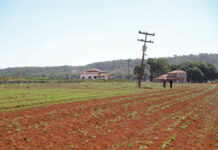 Ocupa uma área rural no DF? Saiba como solicitar a regularização fundiária