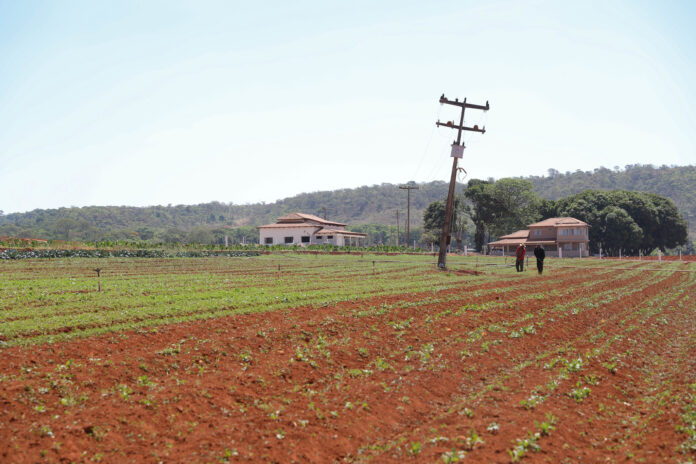Foto Arquivo Agenca Brasilia (1)
