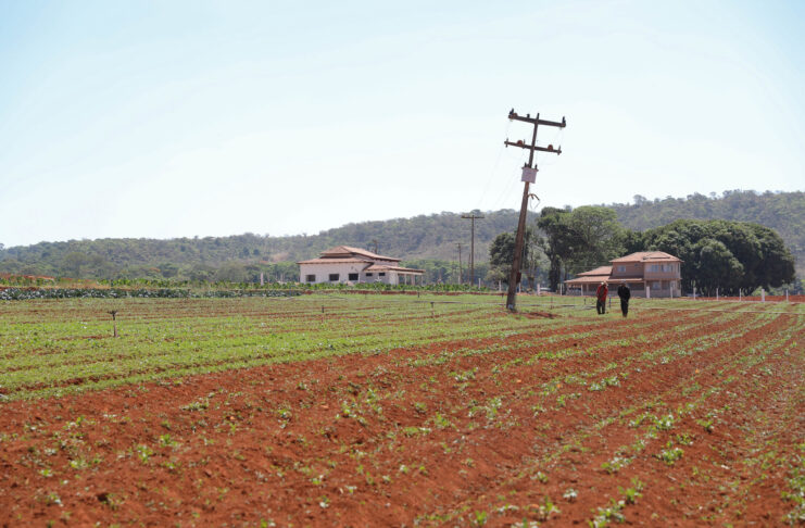 Ocupa uma área rural no DF? Saiba como solicitar a regularização fundiária