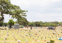 GDF regulamenta recadastramento de sepulturas antigas no DF