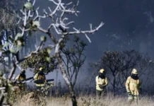 Fogo sob vigilância: Polícia monitora focos de incêndio no DF