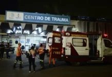 Veterinária atacada por cachorro no Senado segue internada em estado grave