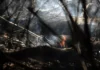 DF registra 69 incêndios em vegetação nas últimas 24 horas