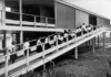A história da primeira biblioteca pública de Brasília