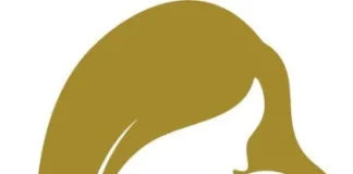 Agosto Dourado alerta para a importância da amamentação e do apoio às mães