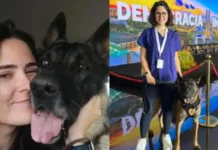 Canil do Senado não tem registro no Conselho Regional de Medicina Veterinária, afirma entidade