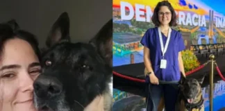 Canil do Senado não tem registro no Conselho Regional de Medicina Veterinária, afirma entidade