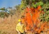 Queima de lixo e vegetação é crime ambiental e eleva risco de incêndio durante o período de seca