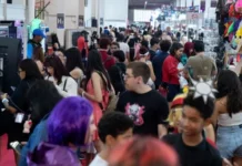 Nipo Festival transforma Taguatinga no mundo dos colecionáveis