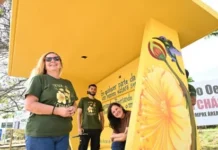 Projeto embeleza paradas de ônibus com símbolos do Cerrado e poesia