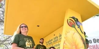 Projeto embeleza paradas de ônibus com símbolos do Cerrado e poesia