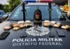 PM prende dupla dinâmica que dava rolê de “crackmóvel” na Estrutural