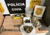 PCDF encontra laboratório de drogas com placas de golfinho no Jardim Botânico