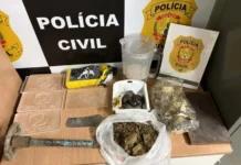 PCDF encontra laboratório de drogas com placas de golfinho no Jardim Botânico