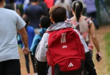 Escola no DF recebe mutirão grátis de emissão de identidade e teste de DNA